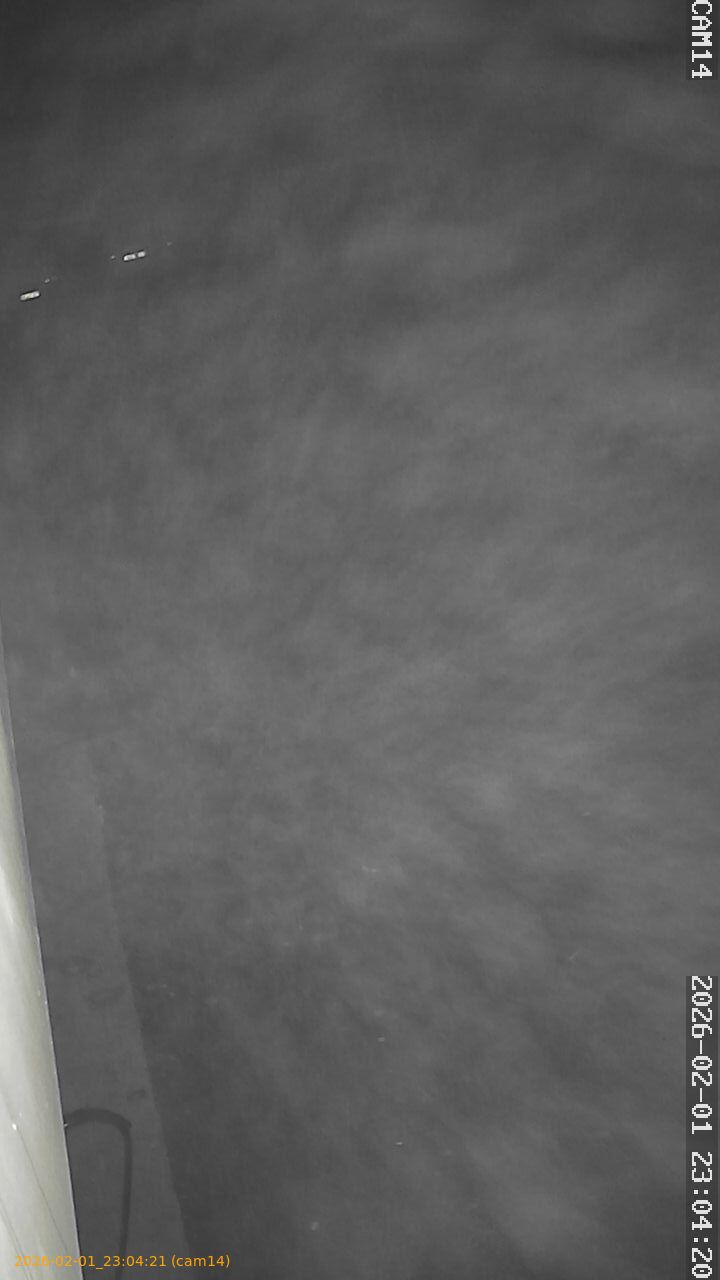 thumbnail_20260201230421