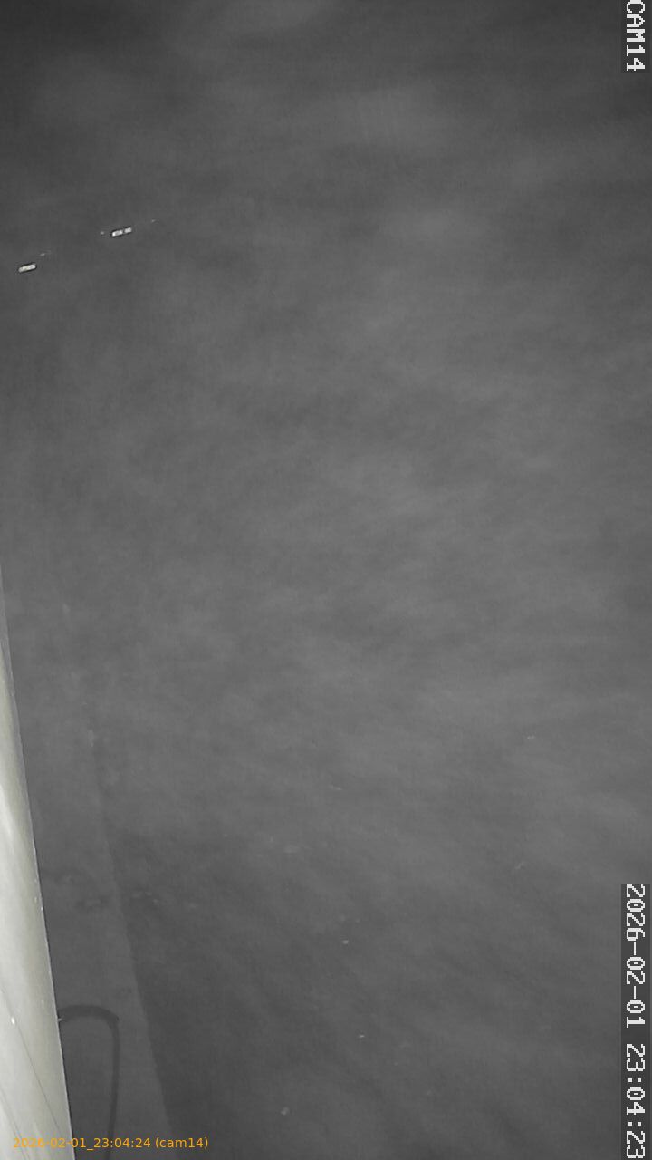 thumbnail_20260201230423