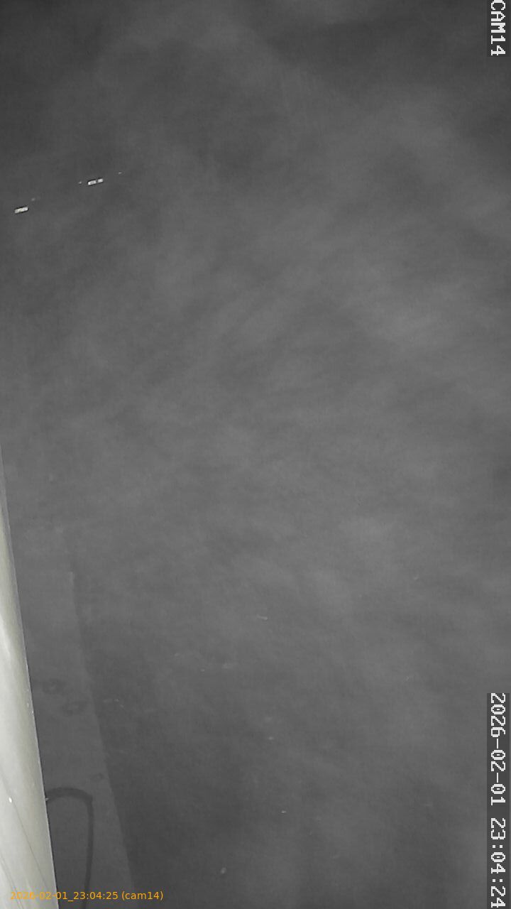 thumbnail_20260201230424