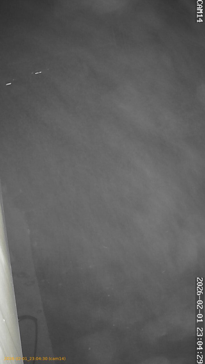 thumbnail_20260201230429