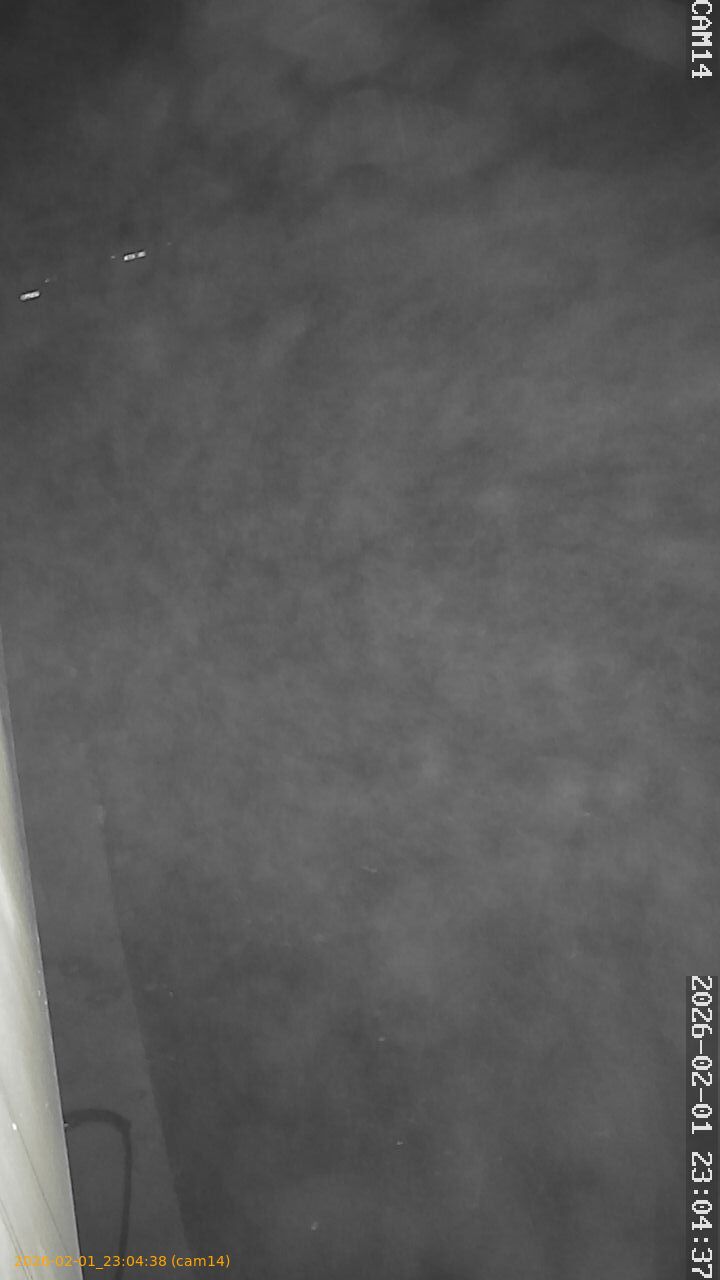 thumbnail_20260201230438