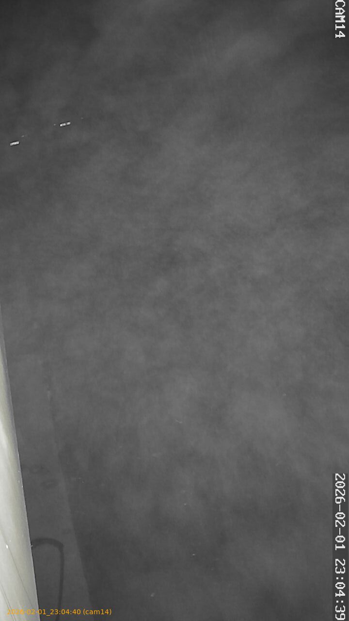 thumbnail_20260201230440