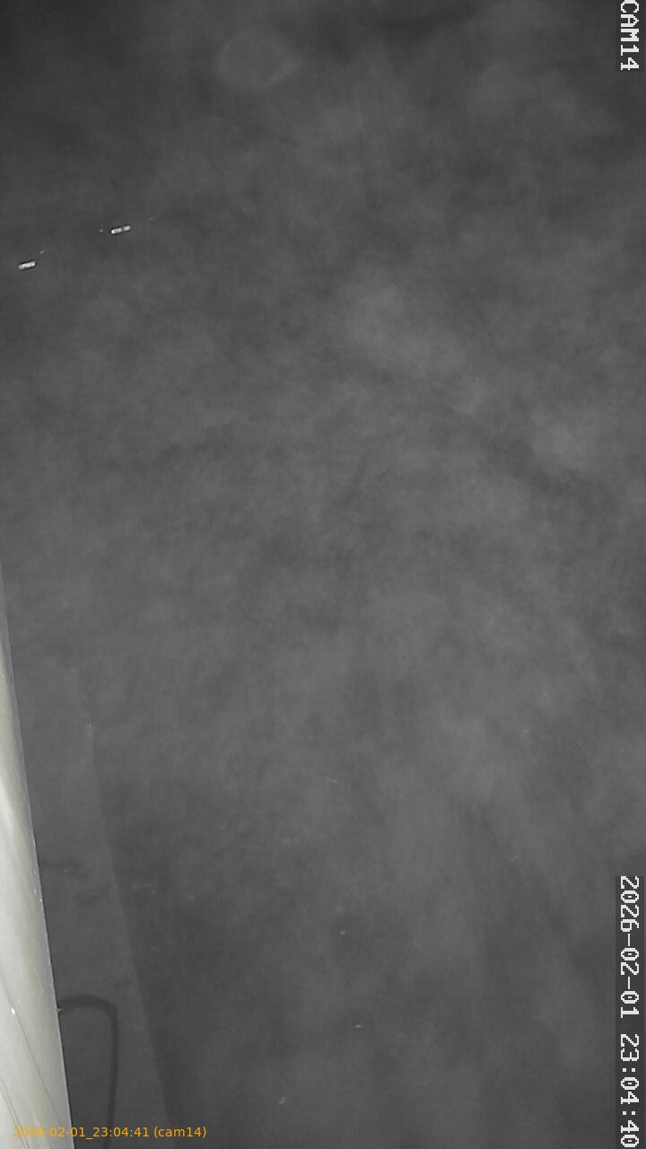 thumbnail_20260201230441