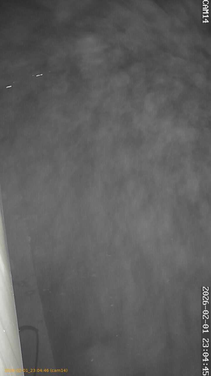 thumbnail_20260201230446