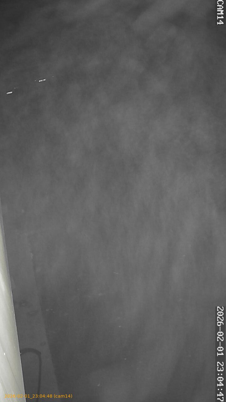 thumbnail_20260201230448