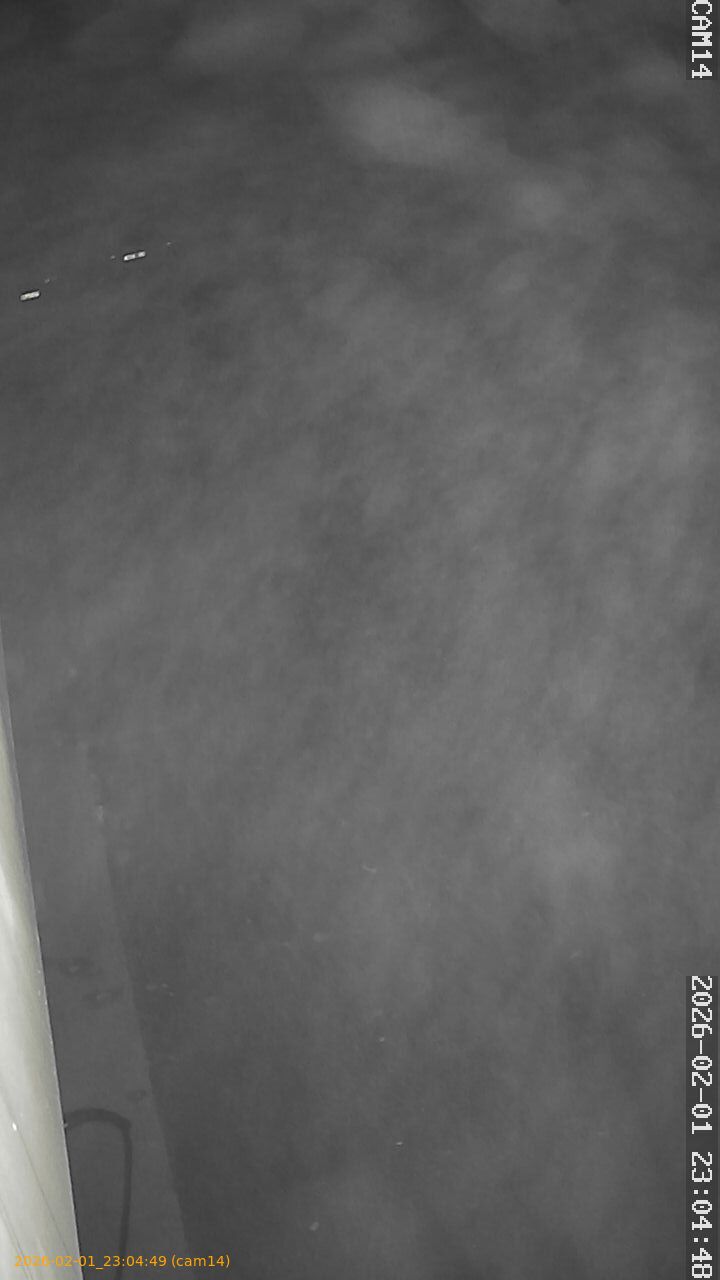 thumbnail_20260201230449