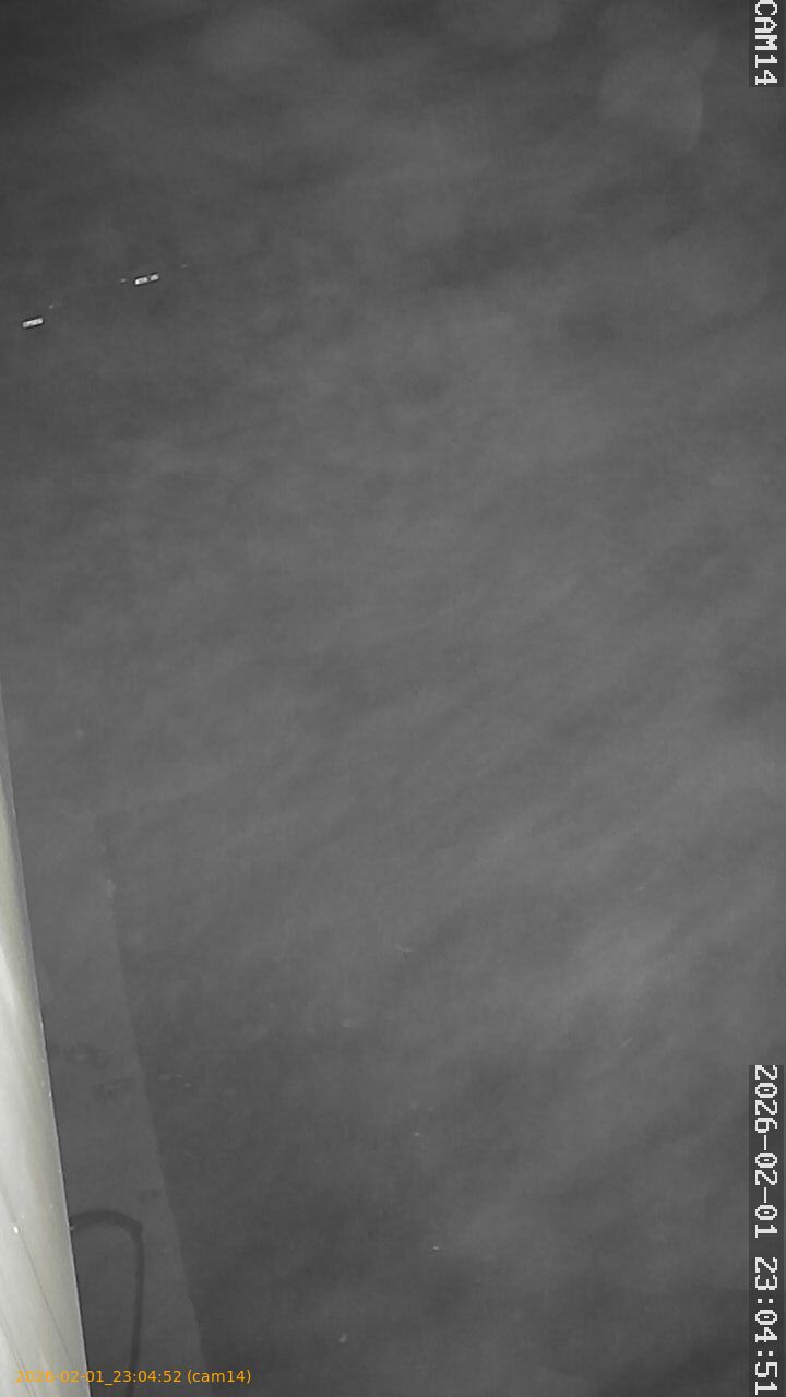 thumbnail_20260201230452