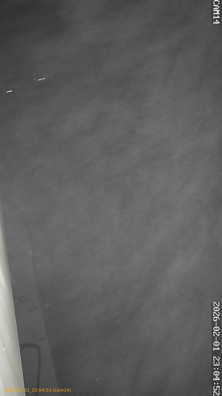 thumbnail_20260201230453