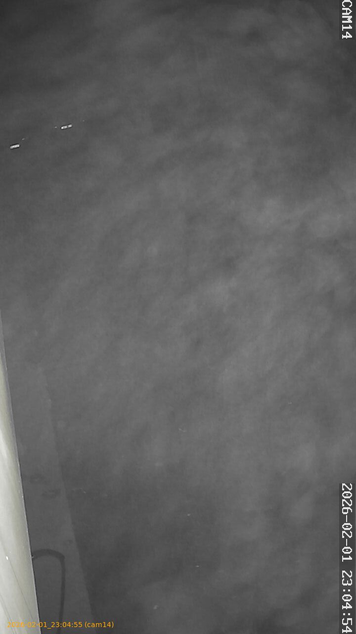 thumbnail_20260201230455