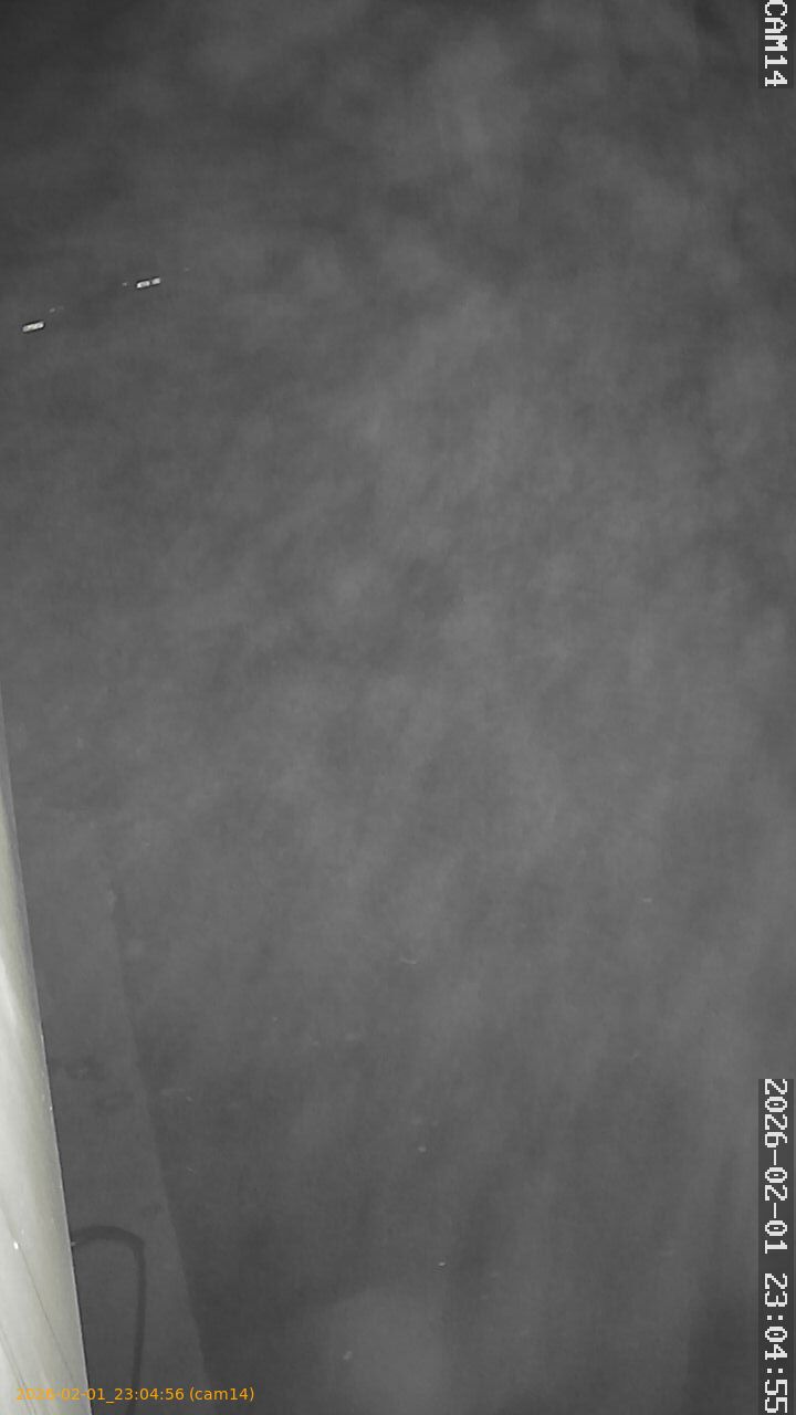 thumbnail_20260201230456