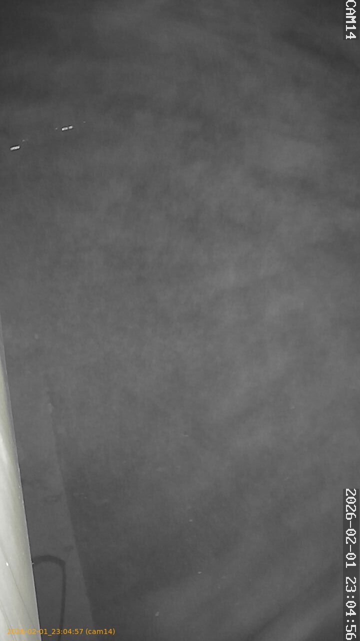 thumbnail_20260201230457