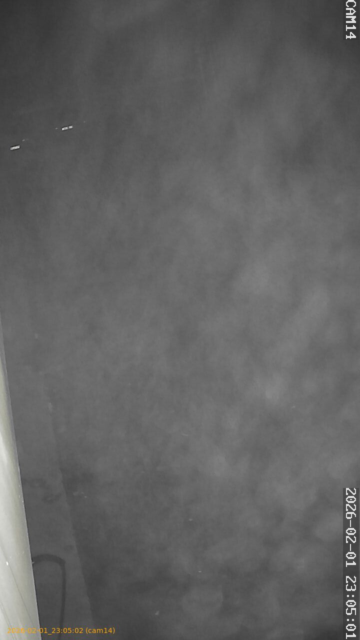 thumbnail_20260201230502