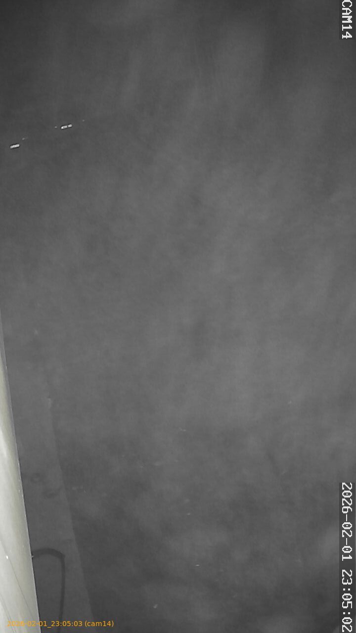 thumbnail_20260201230503