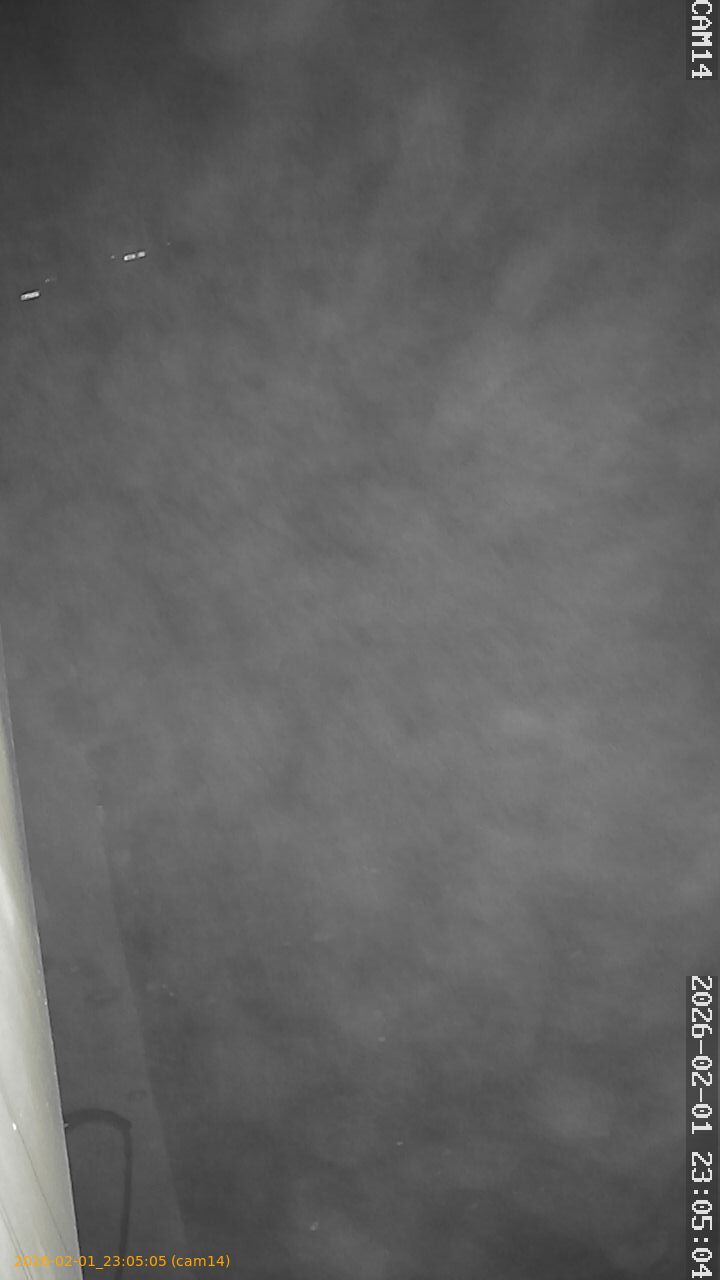 thumbnail_20260201230505