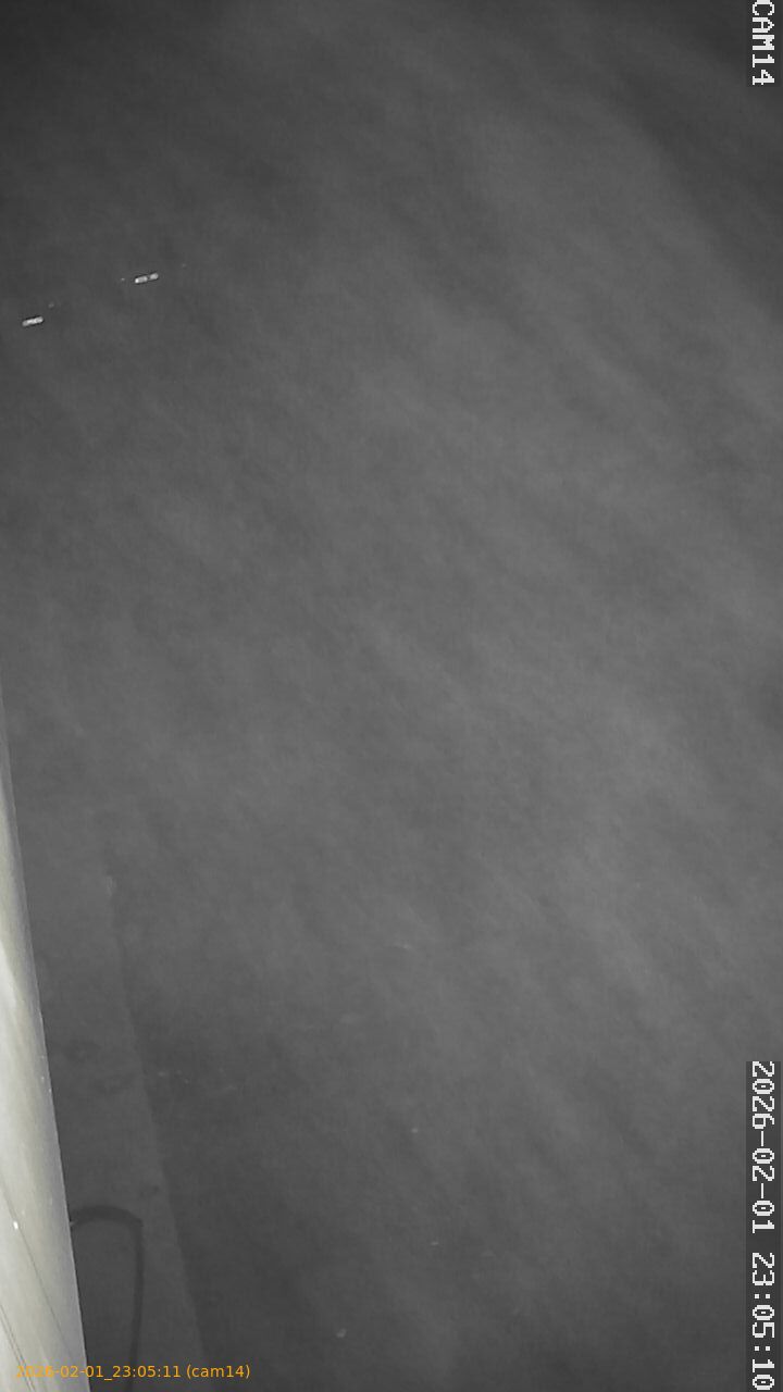 thumbnail_20260201230511