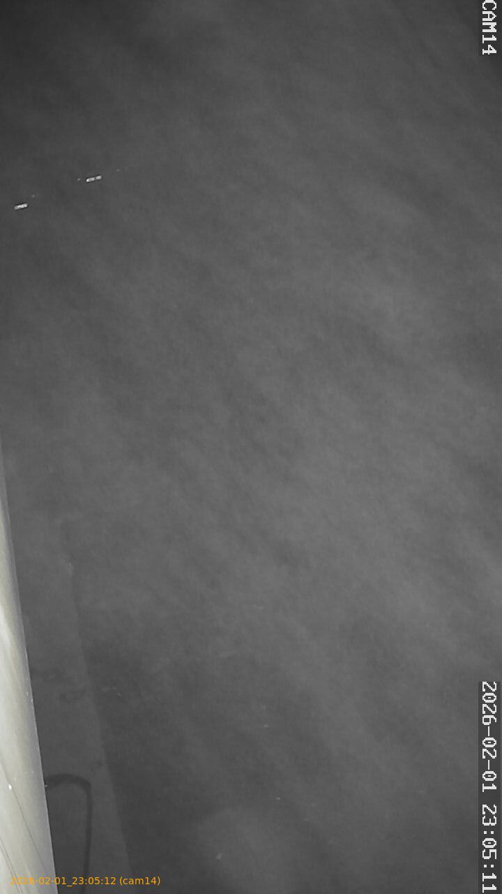 thumbnail_20260201230512