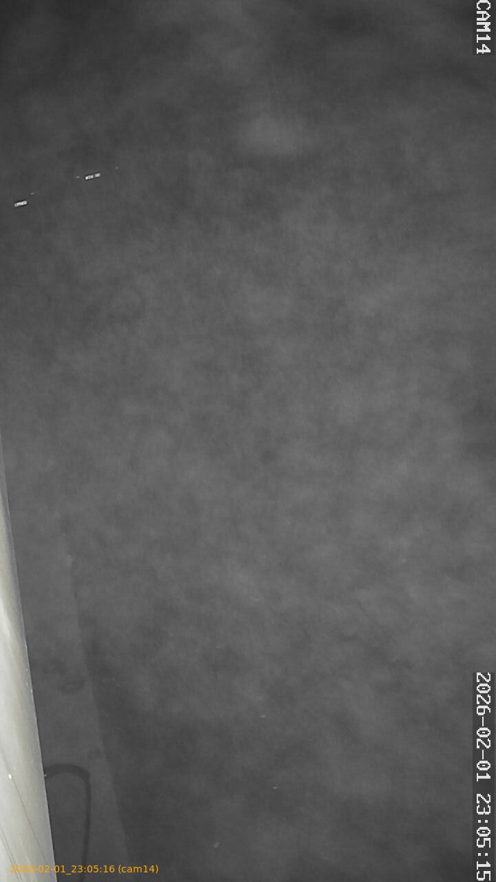 thumbnail_20260201230516