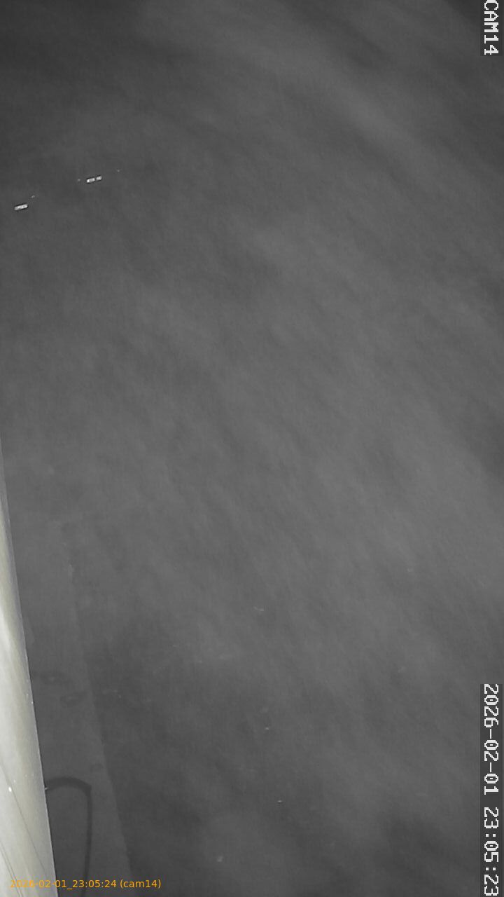 thumbnail_20260201230524