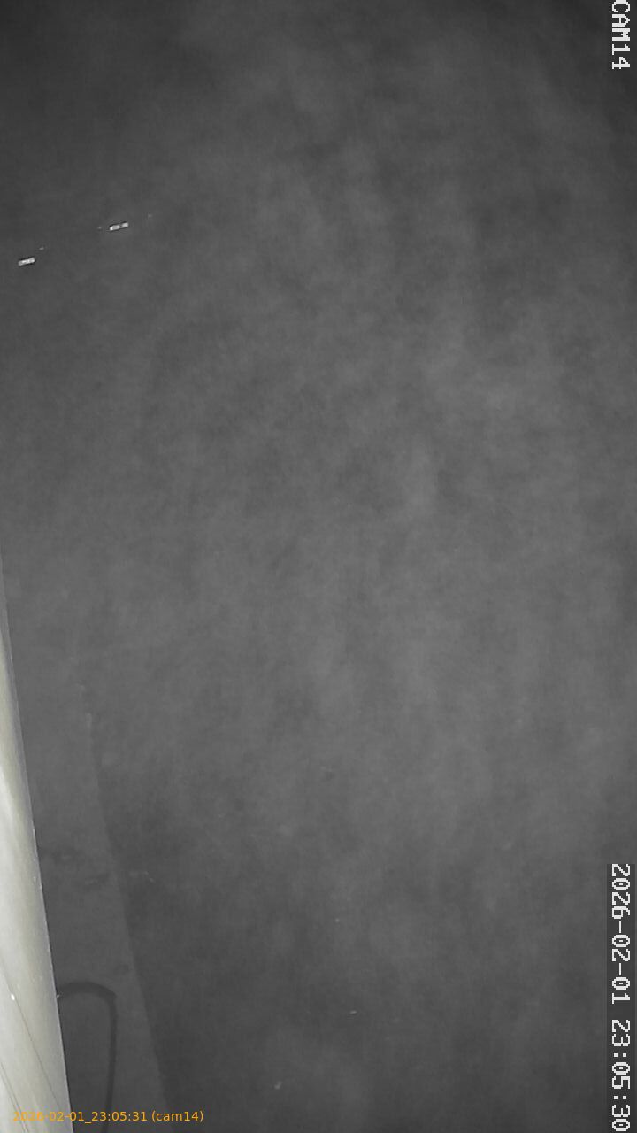 thumbnail_20260201230531