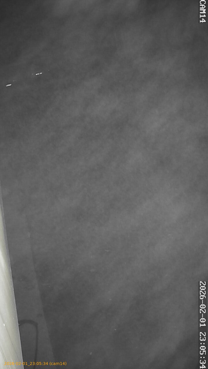 thumbnail_20260201230534