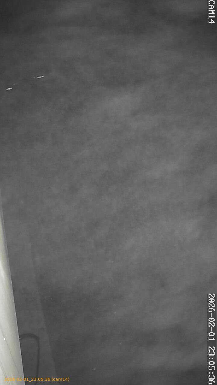 thumbnail_20260201230536