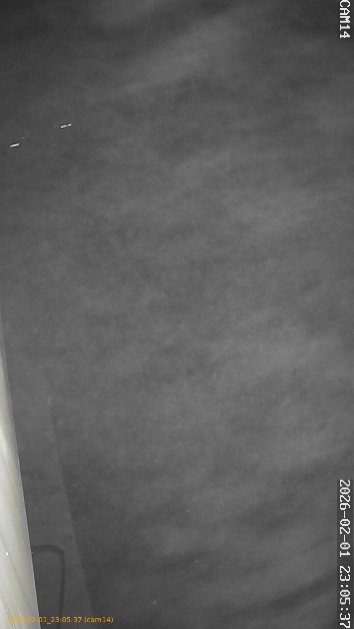 thumbnail_20260201230537