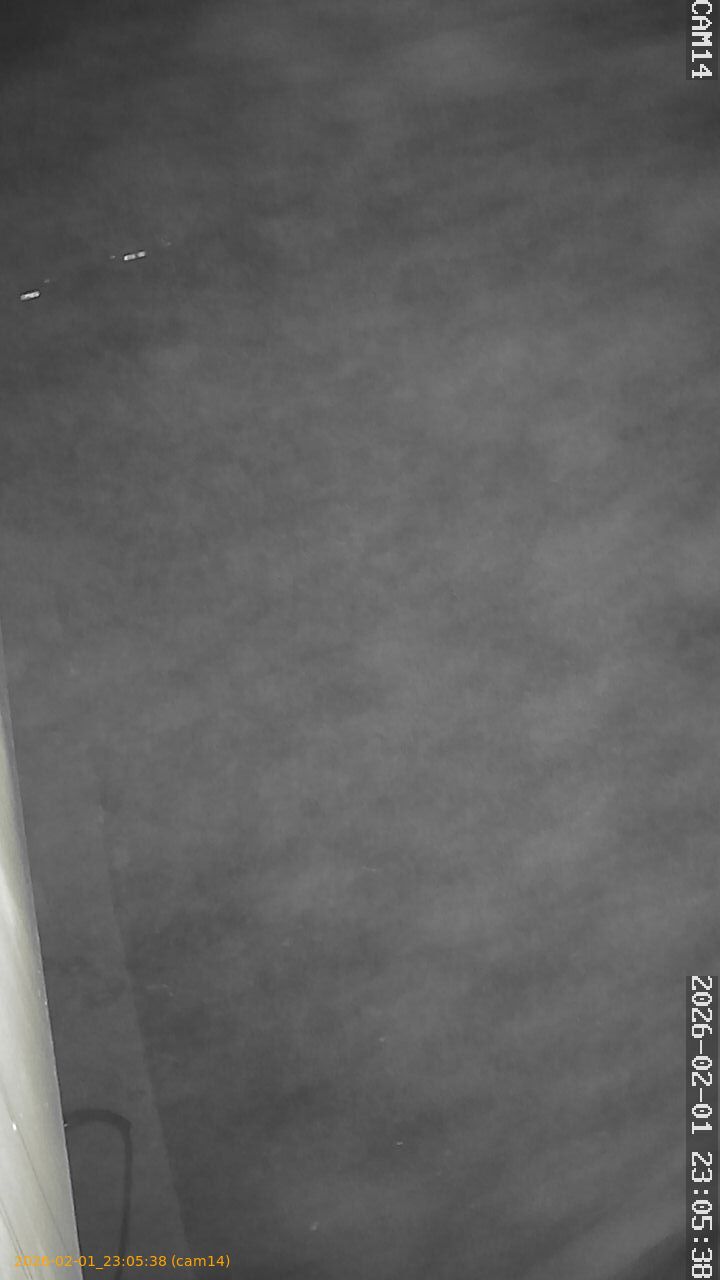 thumbnail_20260201230538