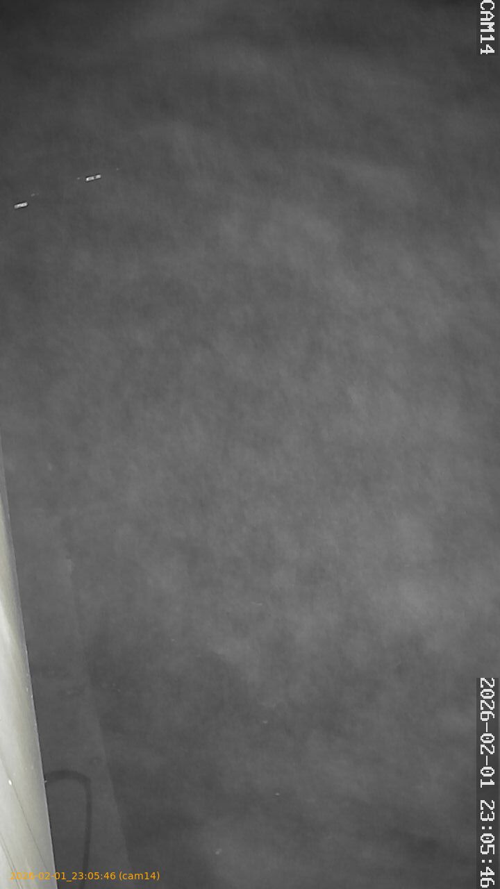 thumbnail_20260201230546