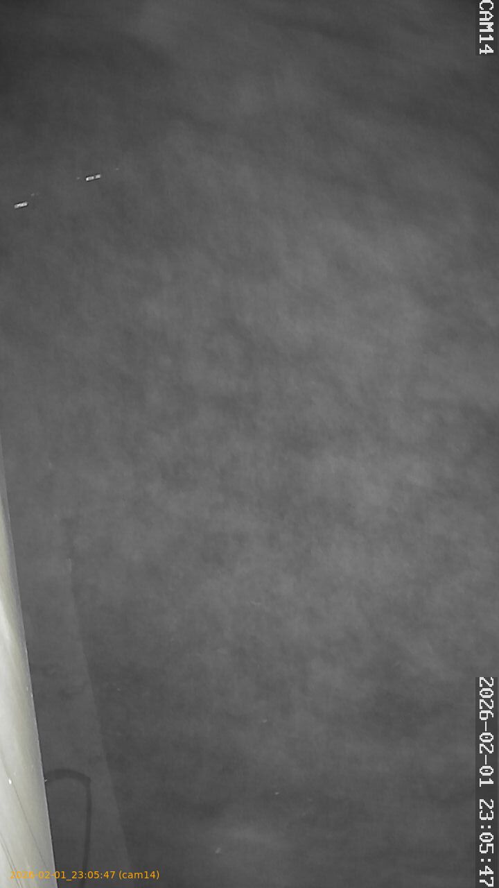 thumbnail_20260201230547