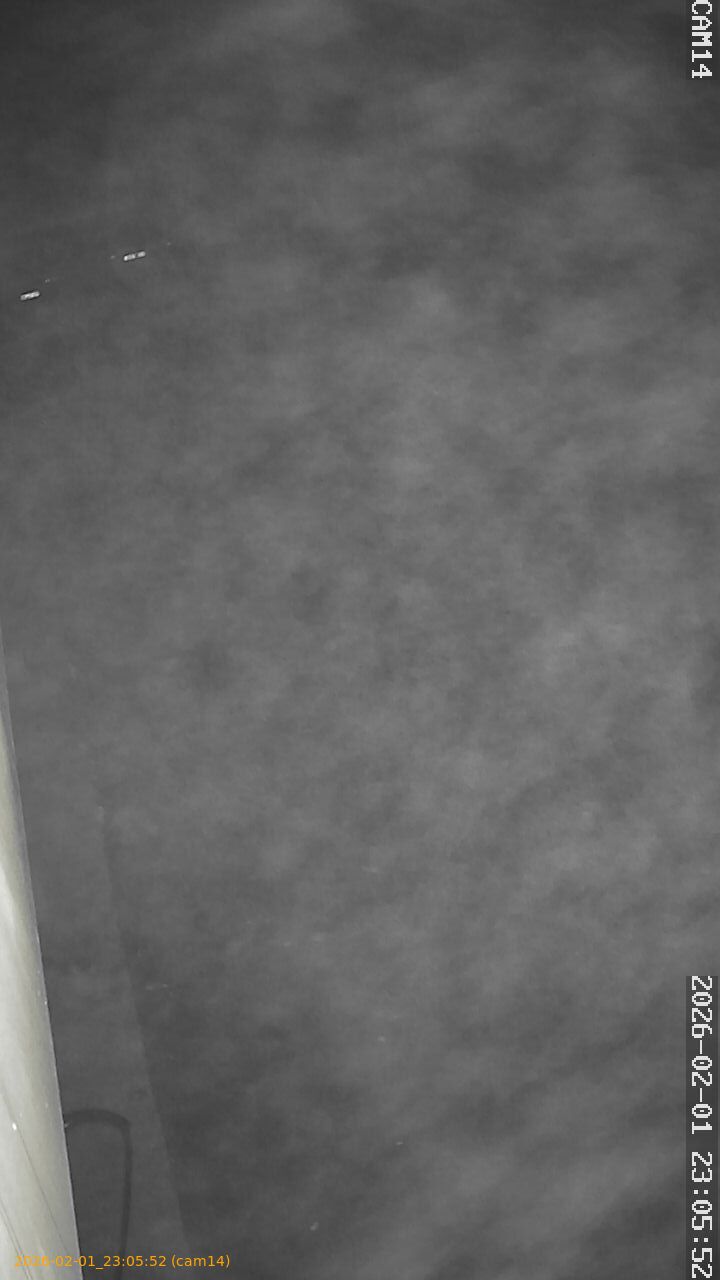 thumbnail_20260201230552