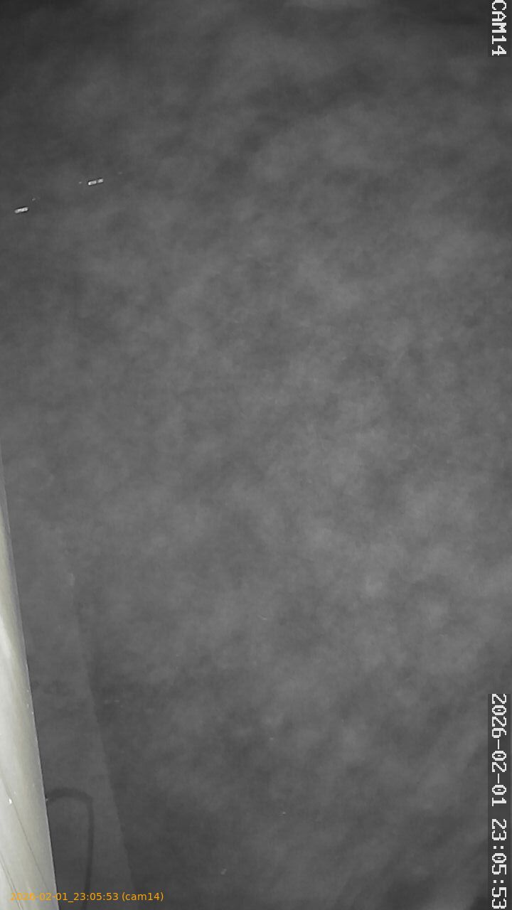 thumbnail_20260201230553