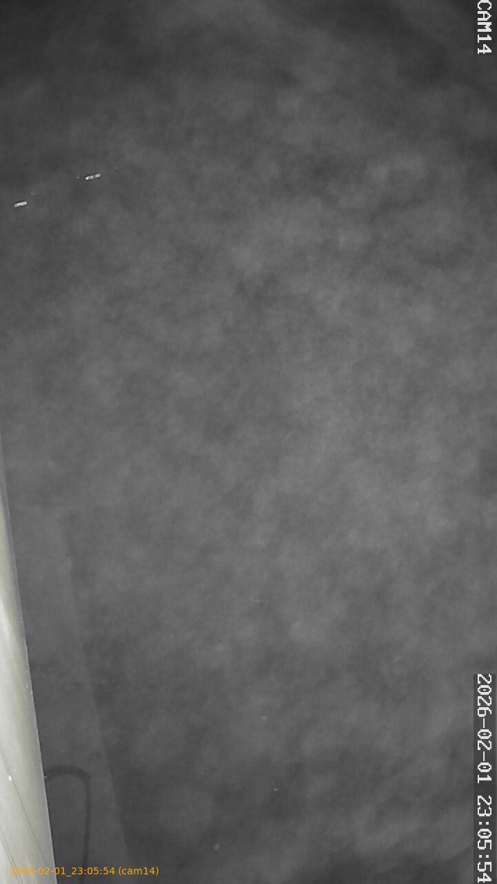 thumbnail_20260201230554