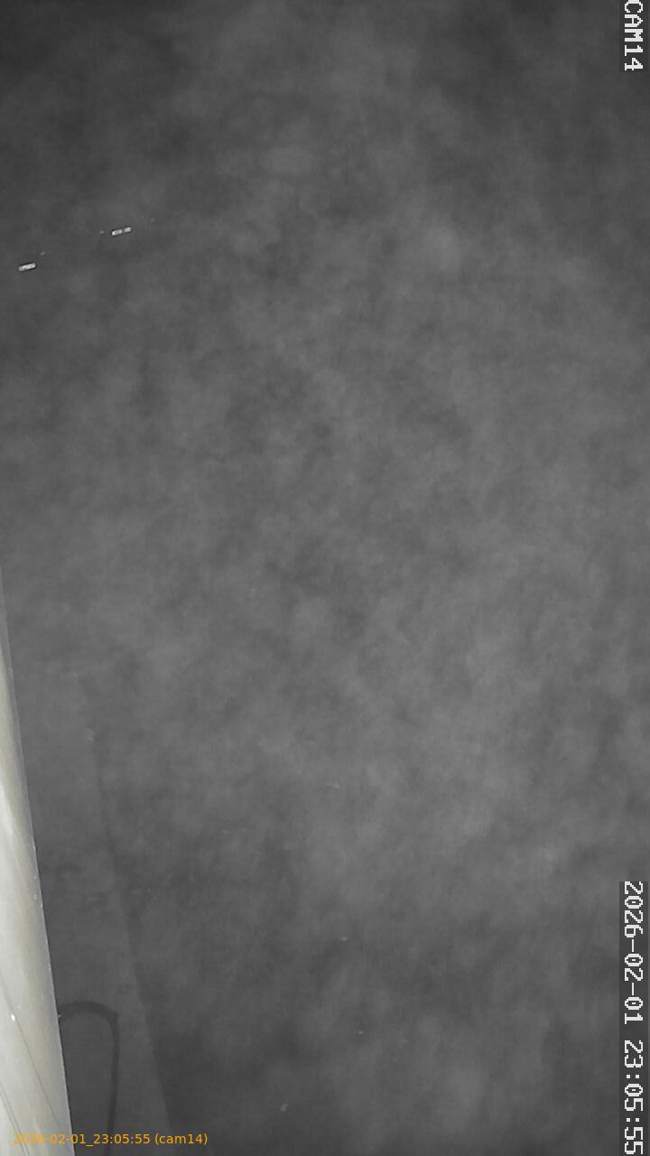 thumbnail_20260201230555