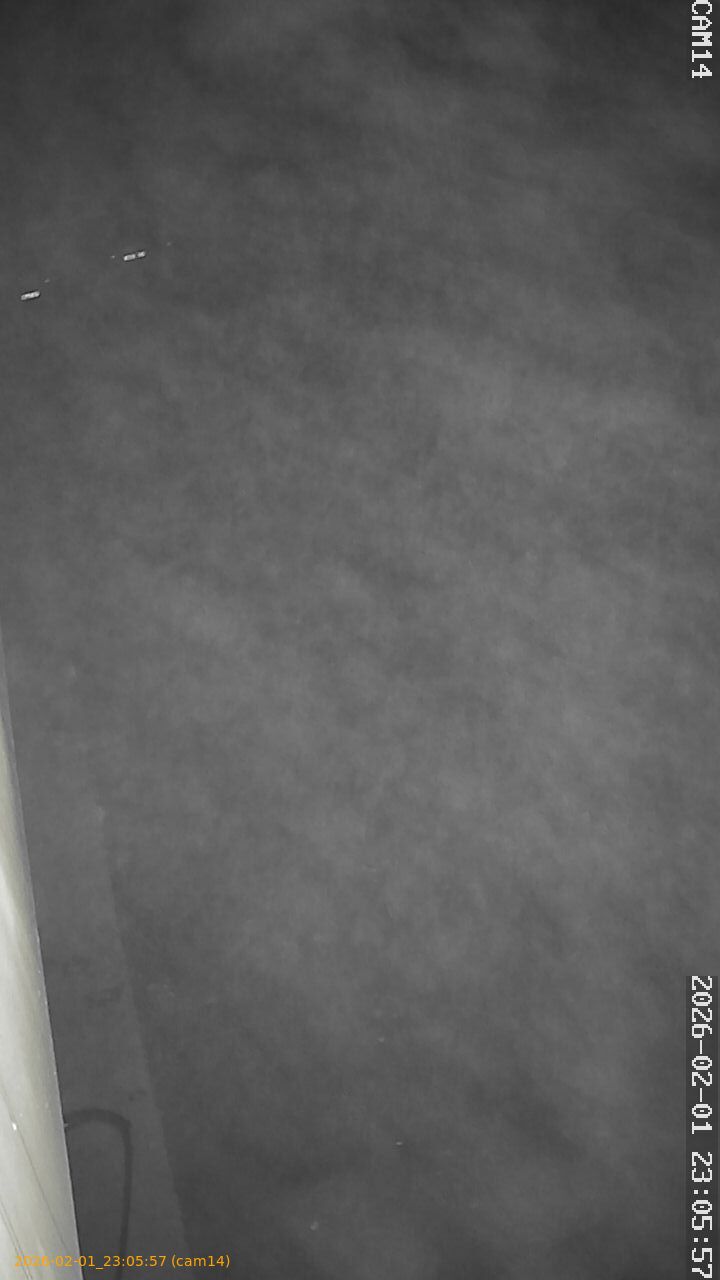 thumbnail_20260201230557