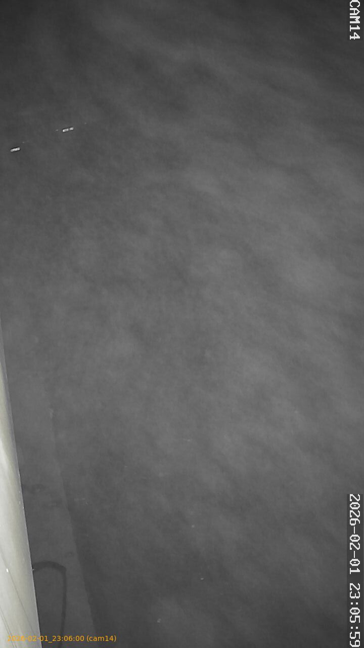 thumbnail_20260201230600