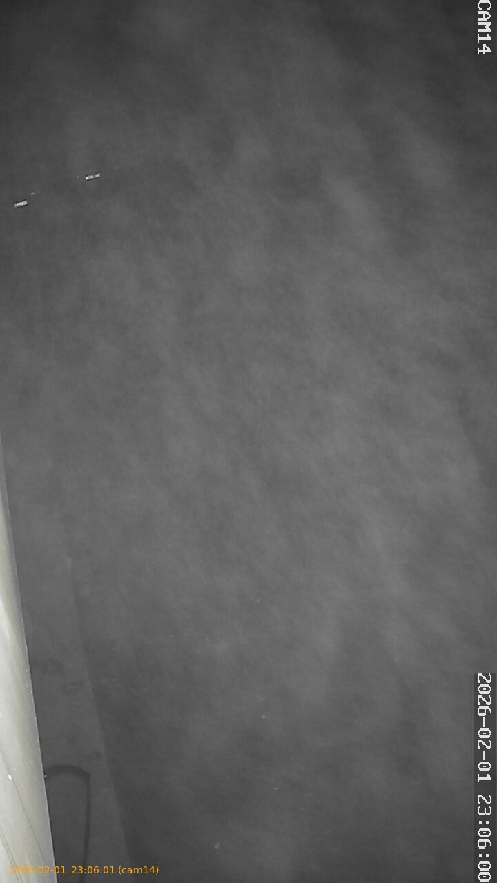 thumbnail_20260201230601