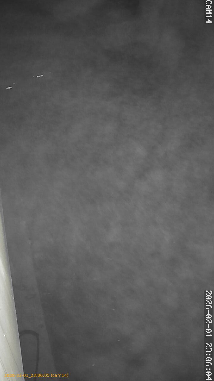 thumbnail_20260201230605