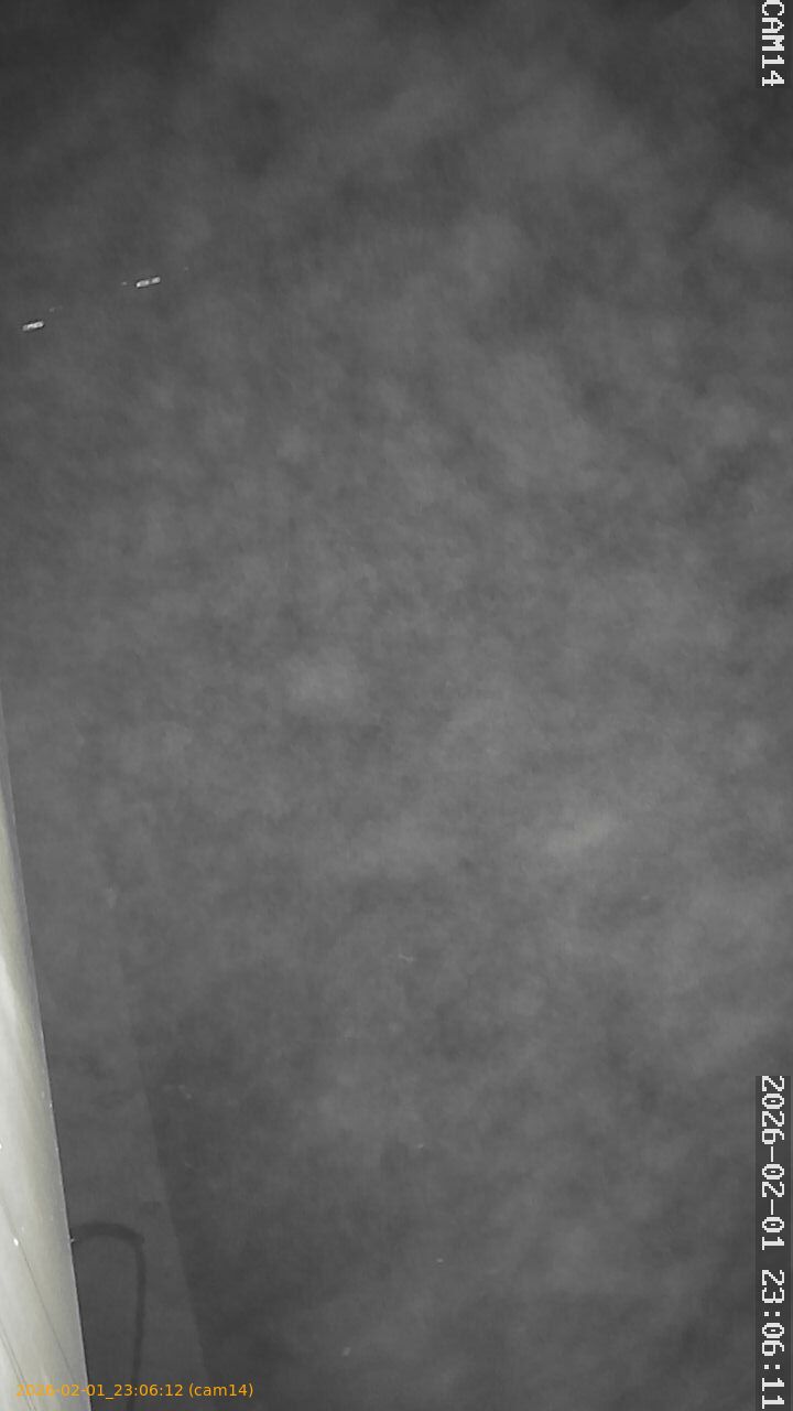 thumbnail_20260201230612