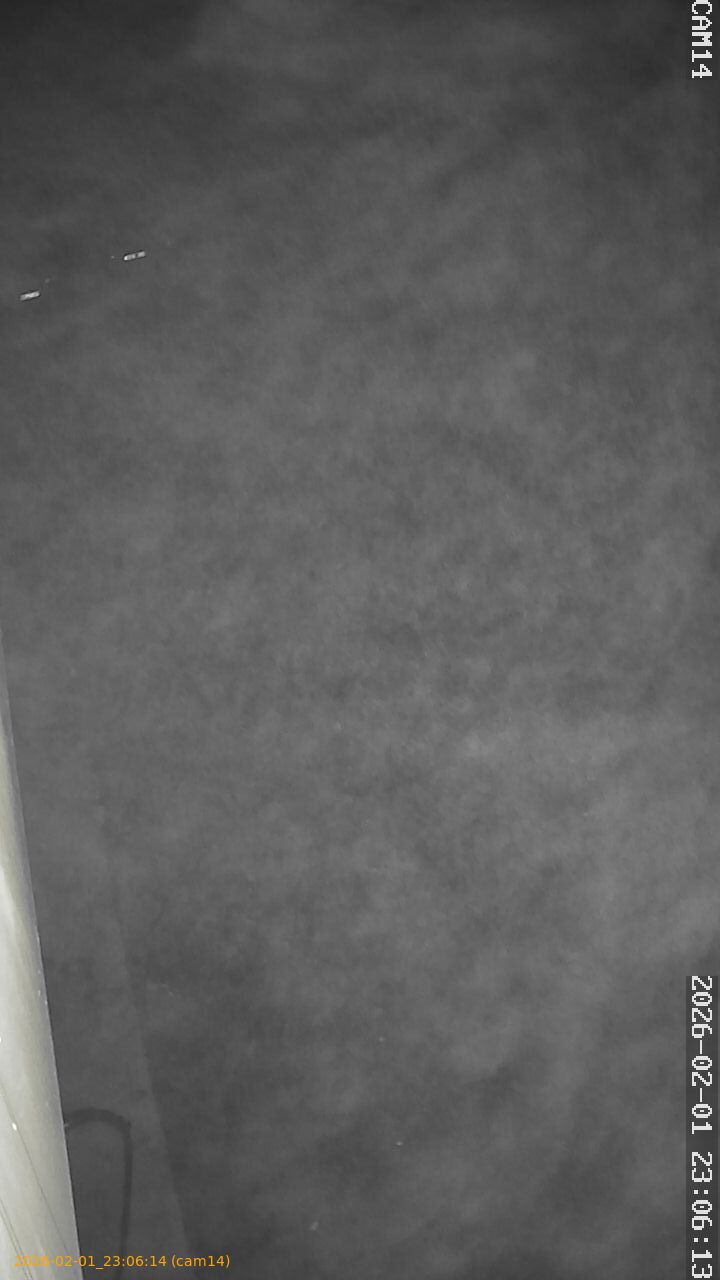 thumbnail_20260201230614