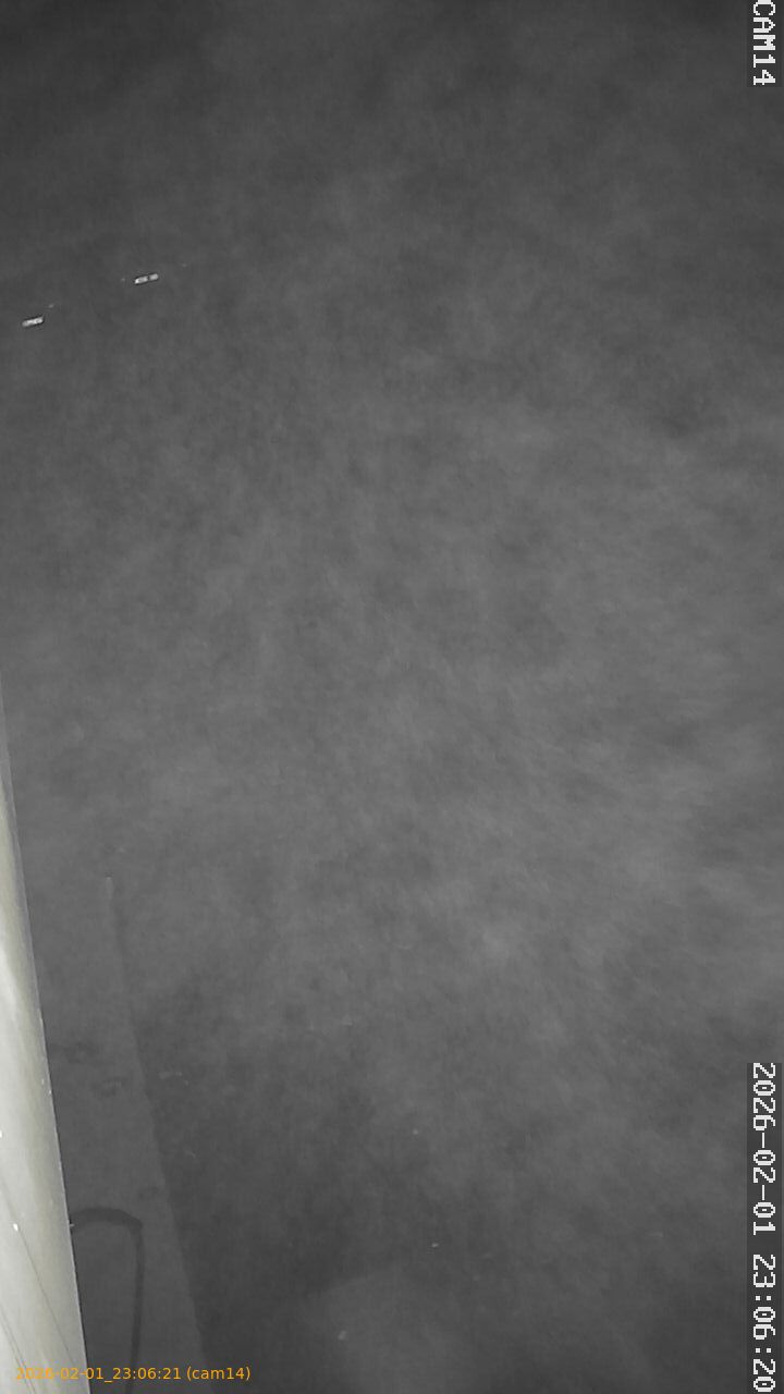 thumbnail_20260201230621