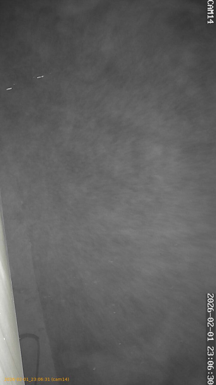 thumbnail_20260201230631