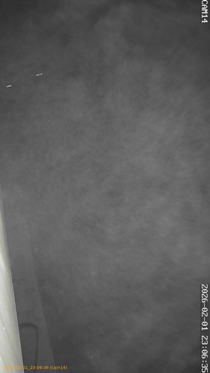 thumbnail_20260201230636