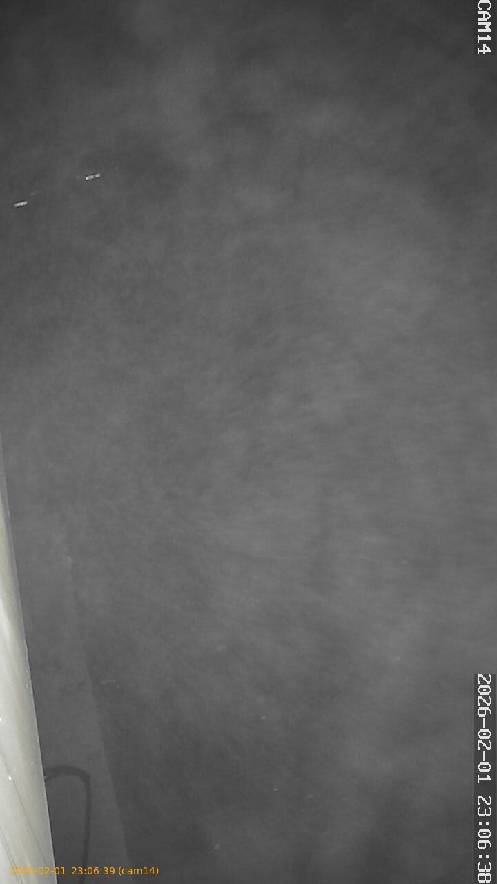 thumbnail_20260201230639