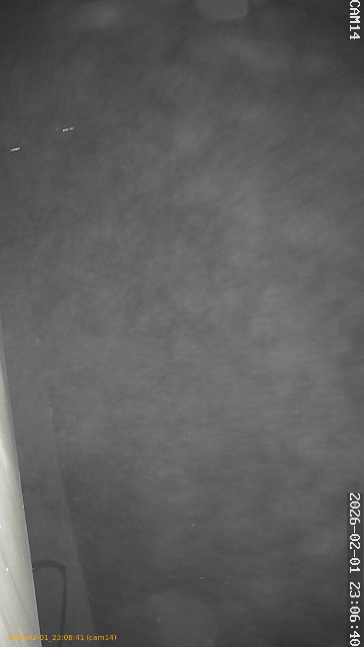 thumbnail_20260201230641