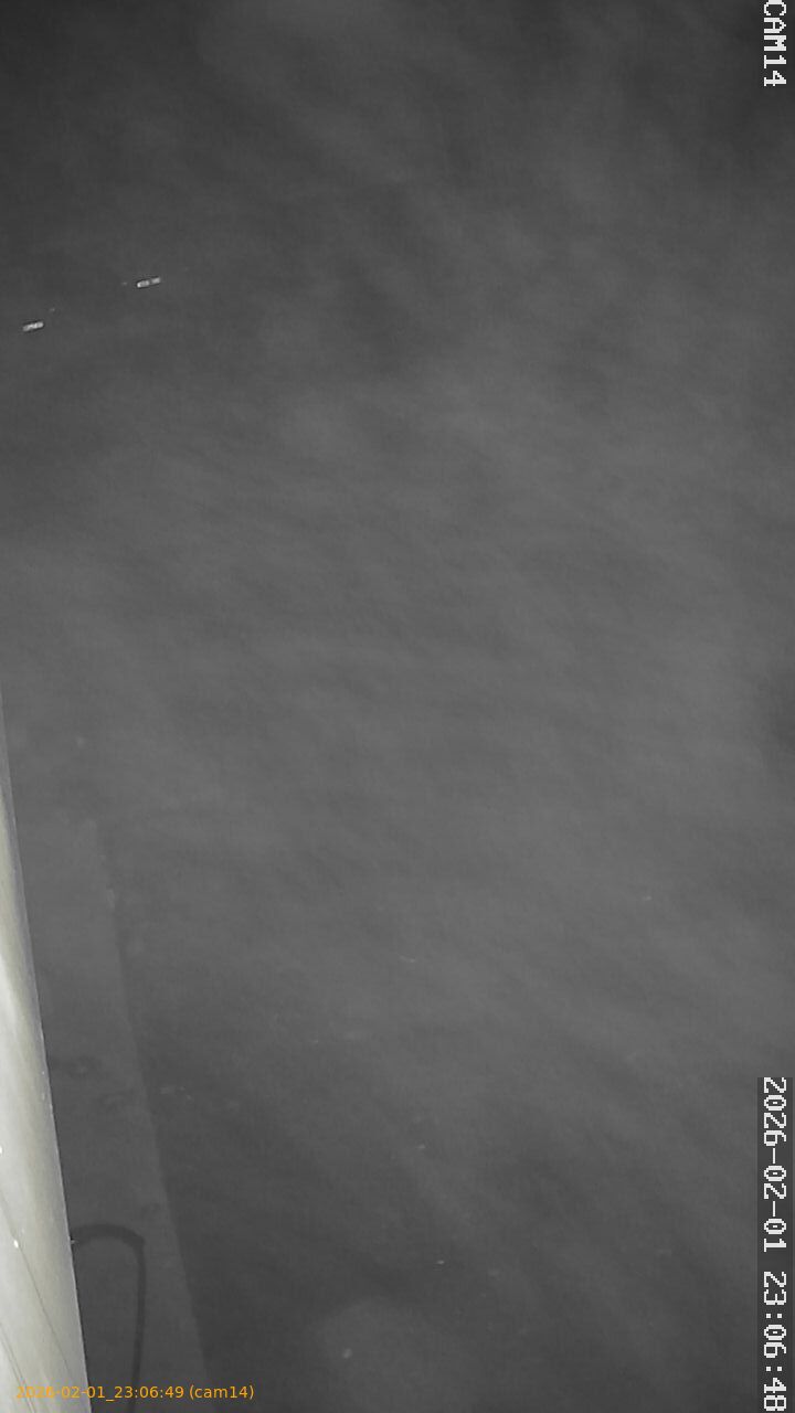 thumbnail_20260201230649