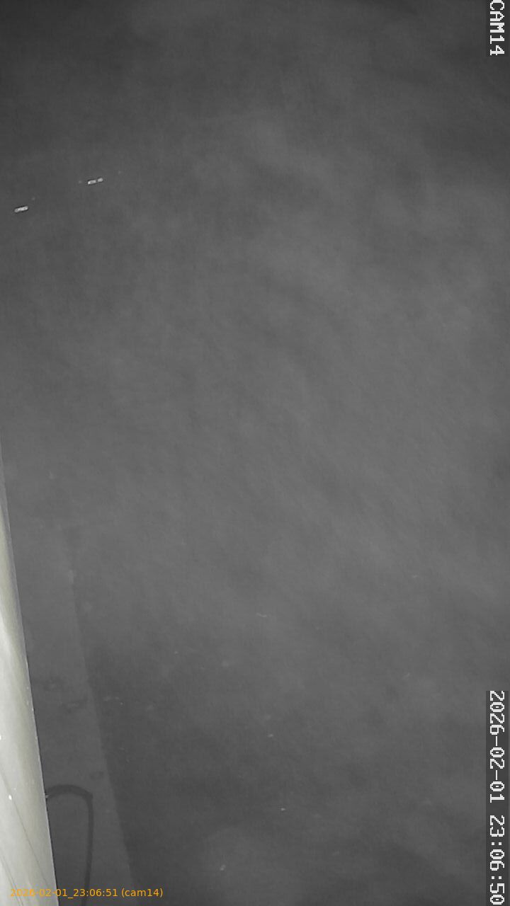 thumbnail_20260201230651