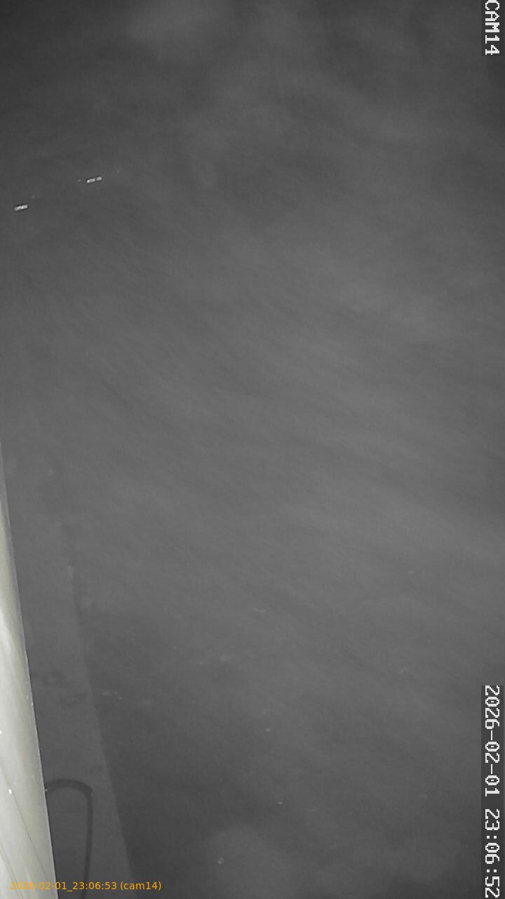 thumbnail_20260201230653