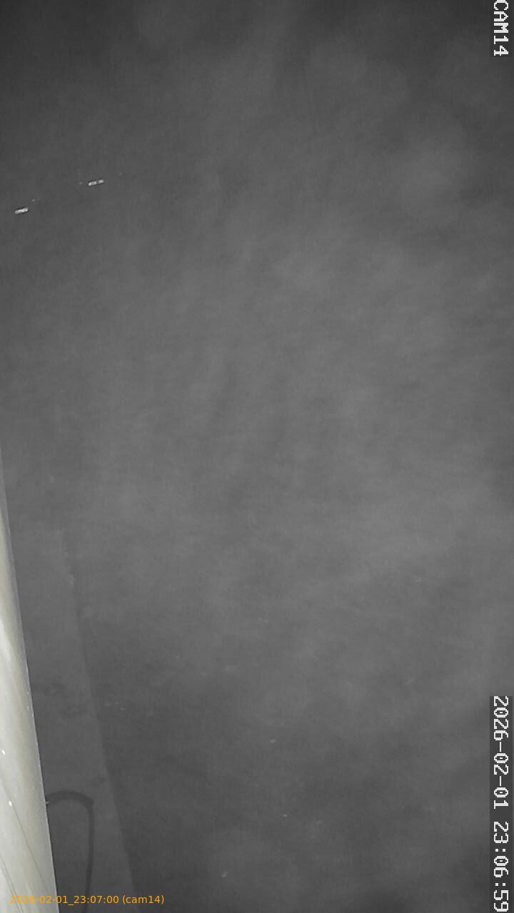 thumbnail_20260201230700