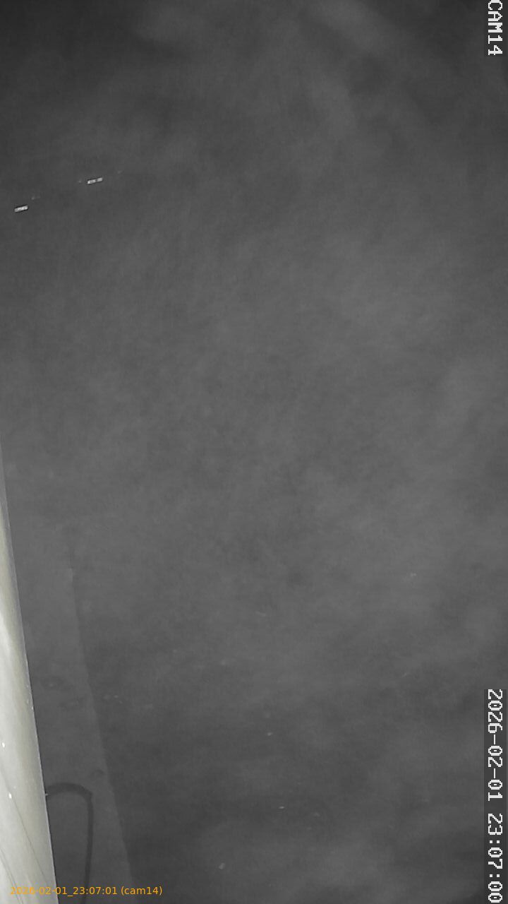 thumbnail_20260201230701