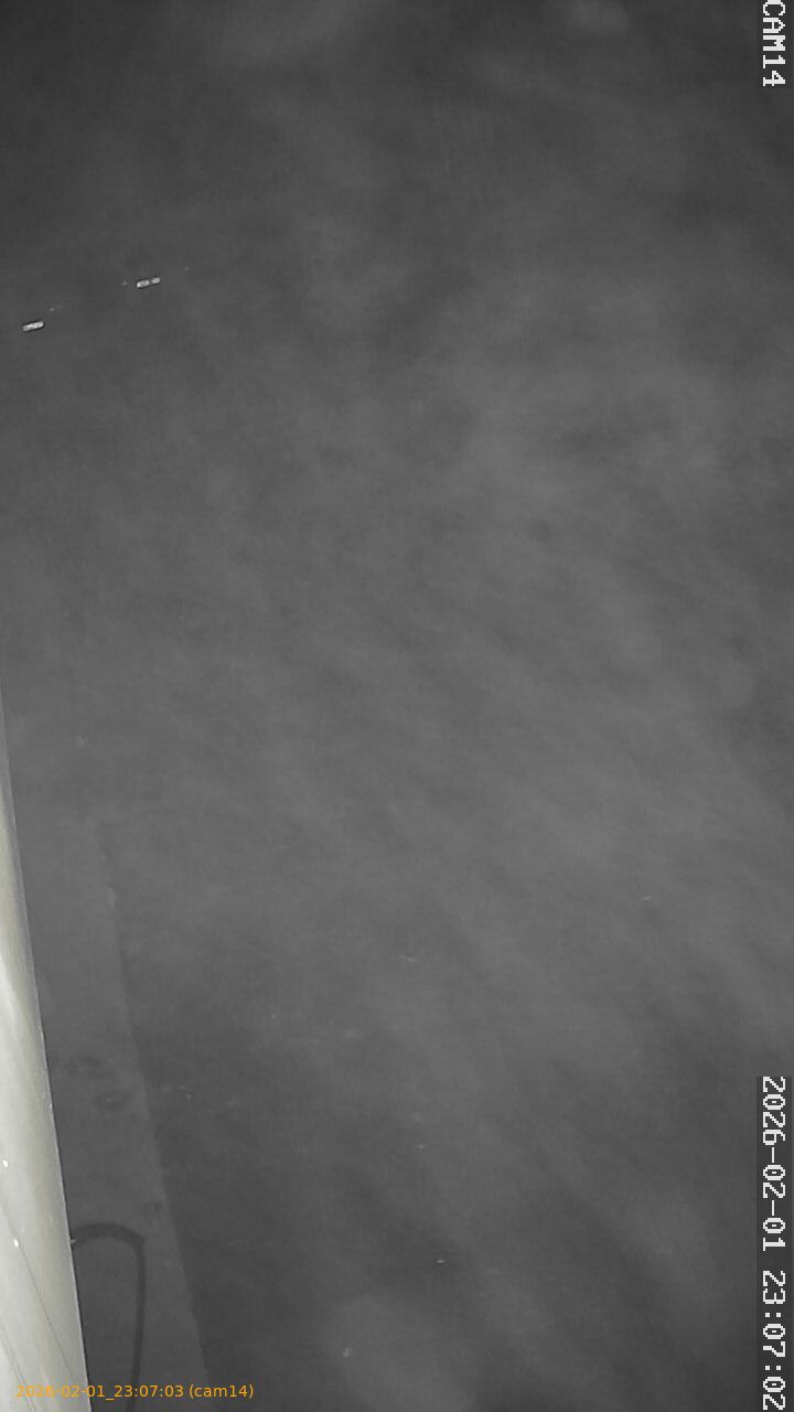 thumbnail_20260201230703